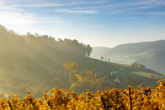 Jura im Herbstkleid
