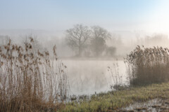 Stille Reuss im Morgennebel